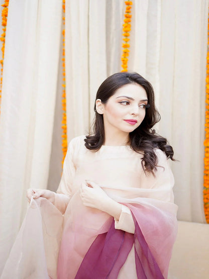Multicolor Ombre Organza Saree – Vibrant Gradient Designer Drape with Unstitched Blouse